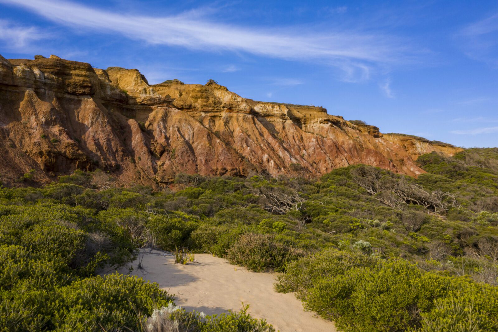 Featured image for “First Australians Capital FY2022 Annual Review ”